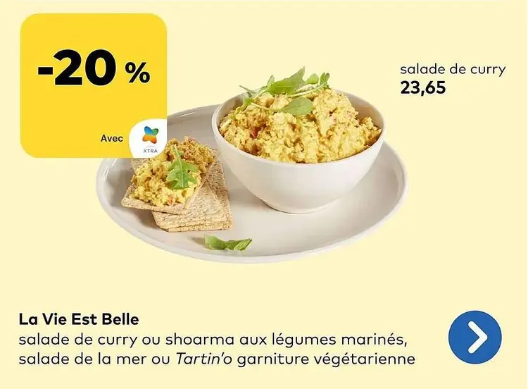 Offre: salade de curry ou shoarma aux légumes mariné
