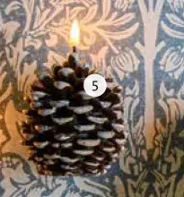 Aanbieding: Ledkaars huis of boom