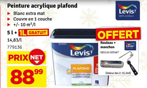 Offre: Peinture acrylique plafond