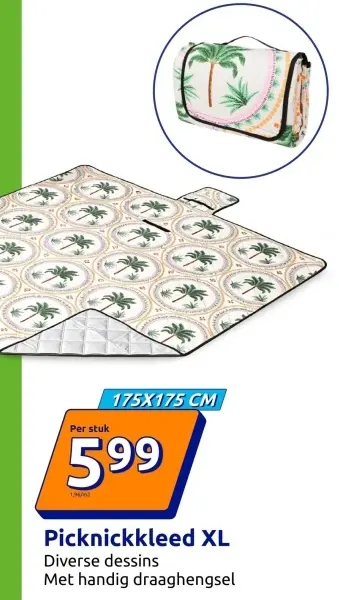 Promotie: Picknickkleed XL