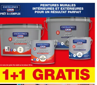 Offre: Peintures Murales Intérieures et Extérieures