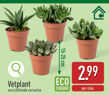 Promotie: Vetplant