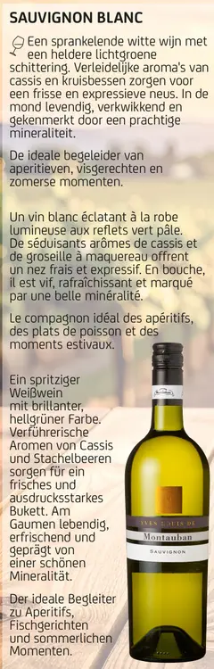 Offre: Yves-Louis de Montauban Sauvignon blanc