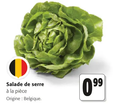 Offre: Salade de serre