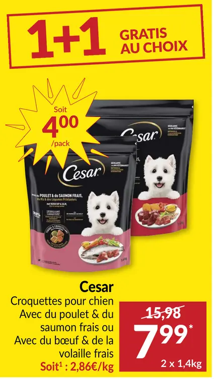 Offre: Cesar croquettes pour chien