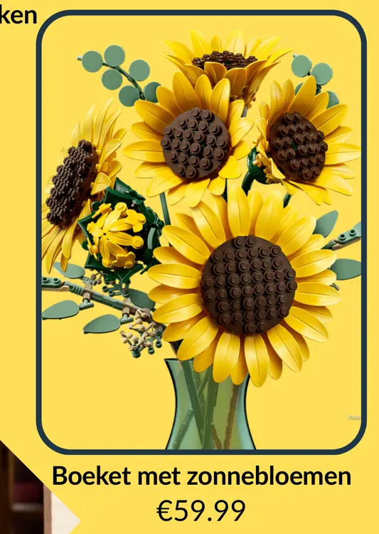 Promotie: Boeket met zonnebloemen