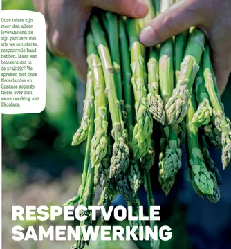 Aanbieding: Asperge