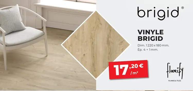 Offre: Vinyle brigid