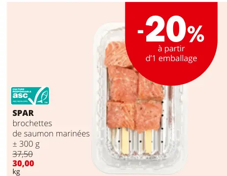 Offre: Brochettes de saumon marinées