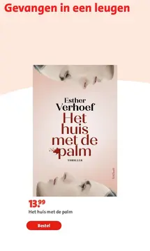 Aanbieding: Het huis met de palm