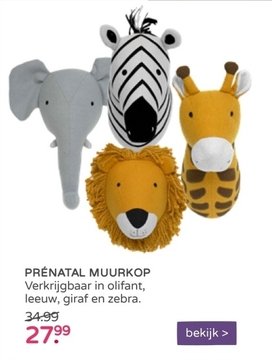 Aanbieding: PRÉNATAL MUURKOP