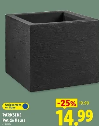 Offre: Pot de fleurs