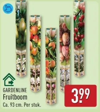 Aanbieding: Fruitboom
