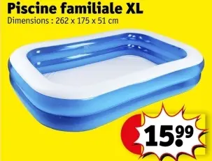 Offre: Piscine familiale XL