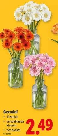 Promotie: Germini