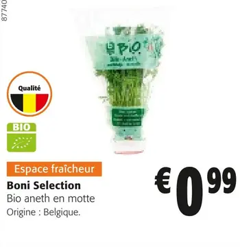 Offre: Bio aneth en motte