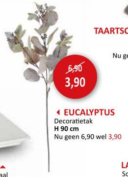 Aanbieding: Decoratietak Eucalyptus H90cm