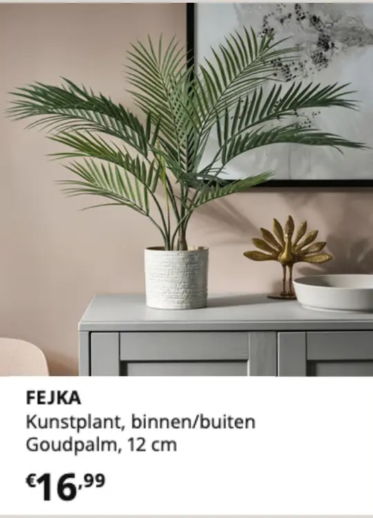 Promotie: FEJKA Goudpalm