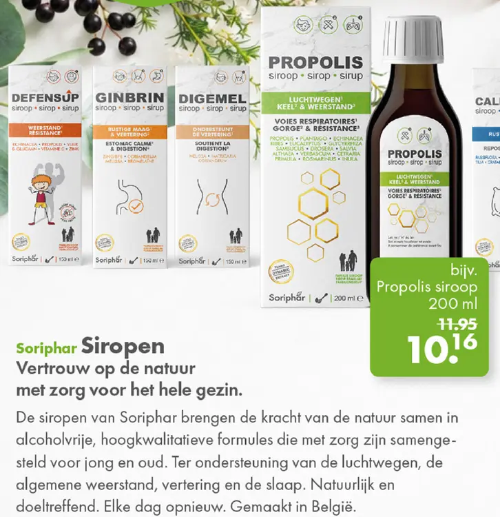 Aanbieding: Propolis siroop