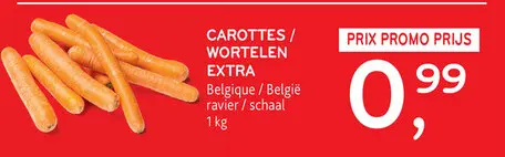 Offre: Carottes / wortelen