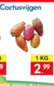 Aanbieding: Cactusvijgen