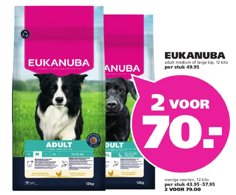 Aanbieding: Adult medium of large kip