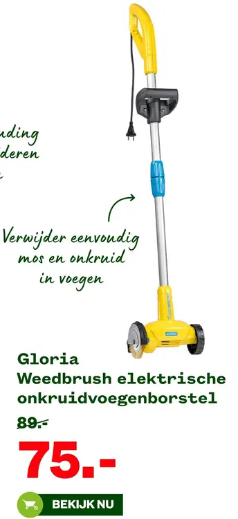 Aanbieding: Weedbrush elektrische onkruidvoegenborstel
