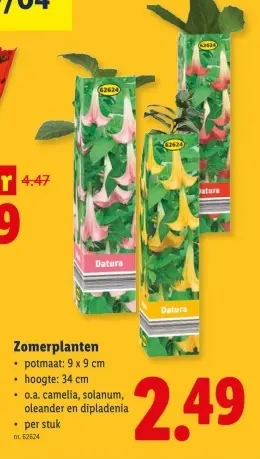 Promotie: Zomerplanten