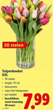 Promotie: Tulpenboeket XXL