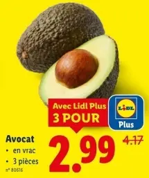 Offre: Avocat