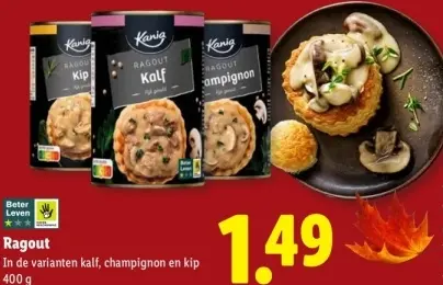 Aanbieding: Ragout