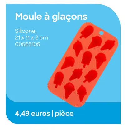 Offre: Moule à glaçons