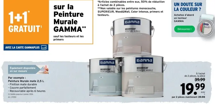 Offre: Peinture Murale