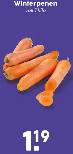 Aanbieding: Winterpenen