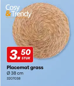 Promotie: Placemat grass