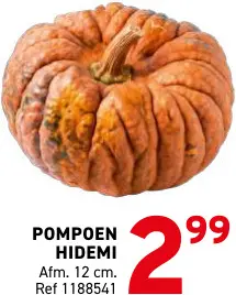 Promotie: Pompoen hidemi
