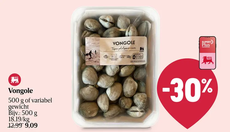 Promotie: Vongole