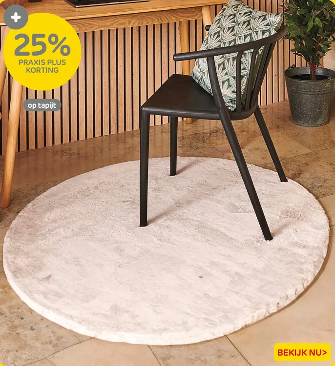 Aanbieding: Tapijt