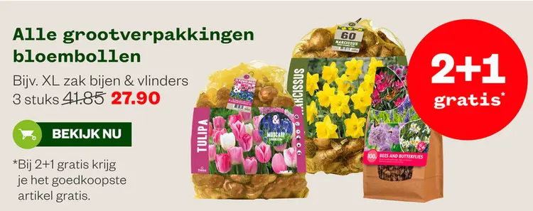 Aanbieding: Alle grootverpakkingen bloembollen