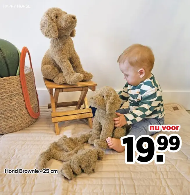 Promotie: Hond Brownie