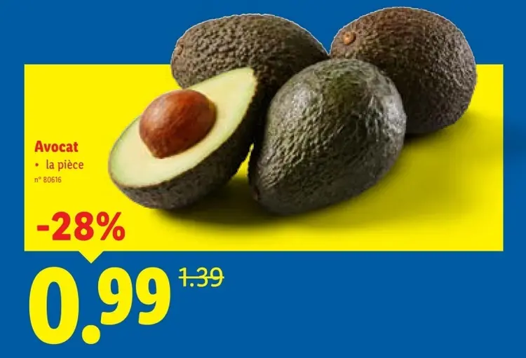 Offre: Avocat
