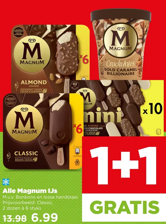 Aanbieding: Magnum IJs