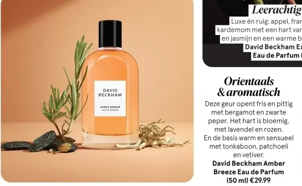 Aanbieding: Amber Breeze Eau de Parfum