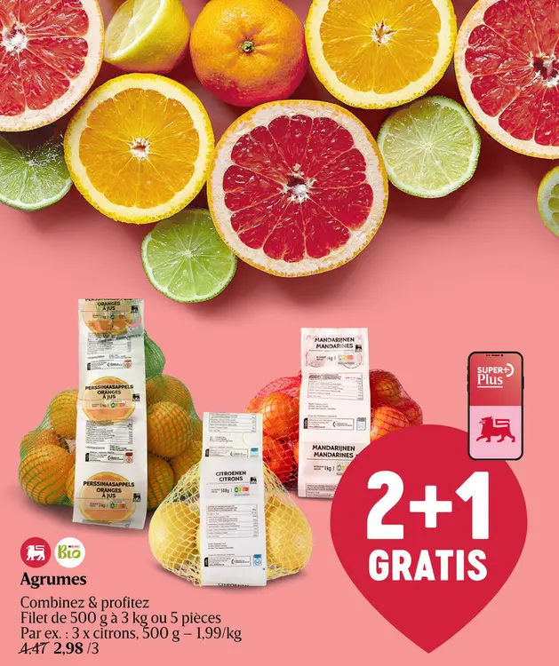 Offre: Oranges | Filet | Bio