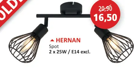 Offre: Hernan spot
