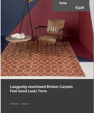 Aanbieding: Laagpolig vloerkleed Feel Good Laatz Terra