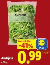 Aanbieding: Andijvie