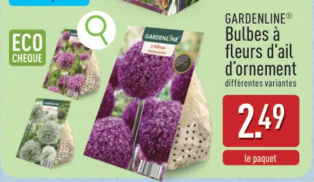 Offre: Bulbes à fleurs d'ail d'ornement