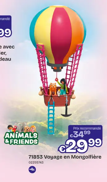 Offre: Voyage en Mongolfière