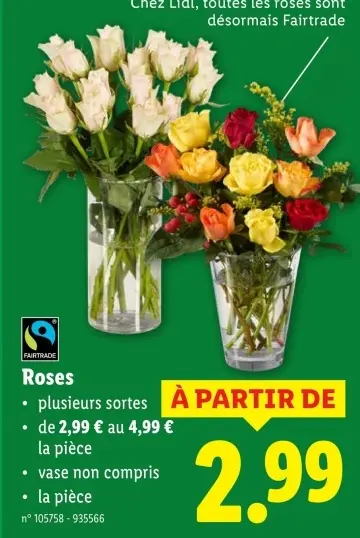 Offre: Roses
